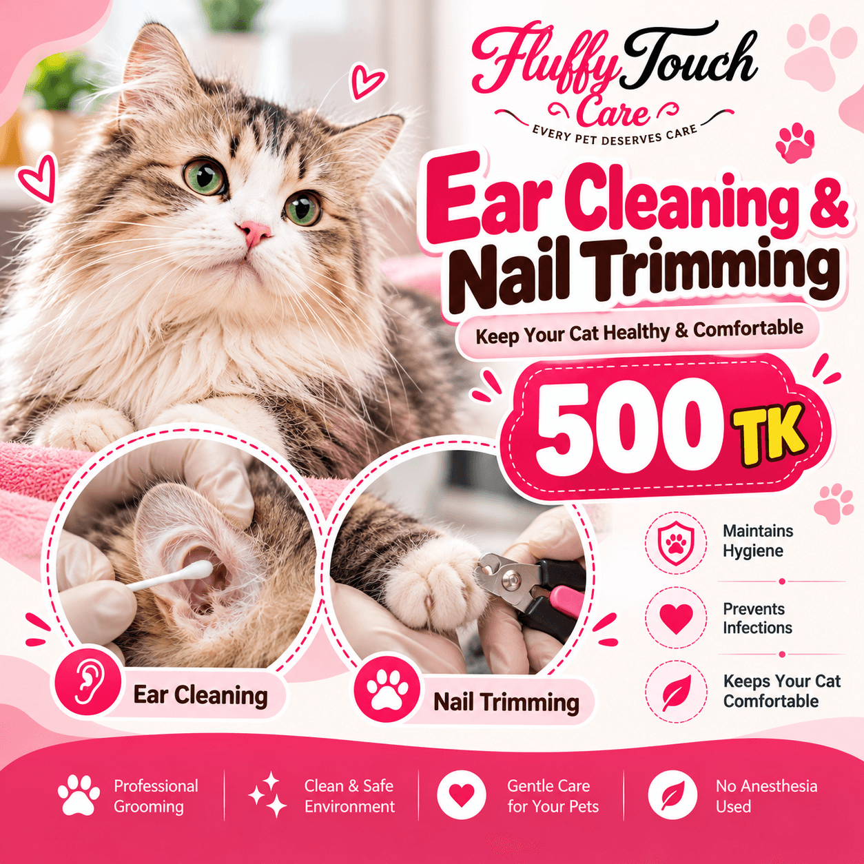 Nail Trimming + Ear Cleaning